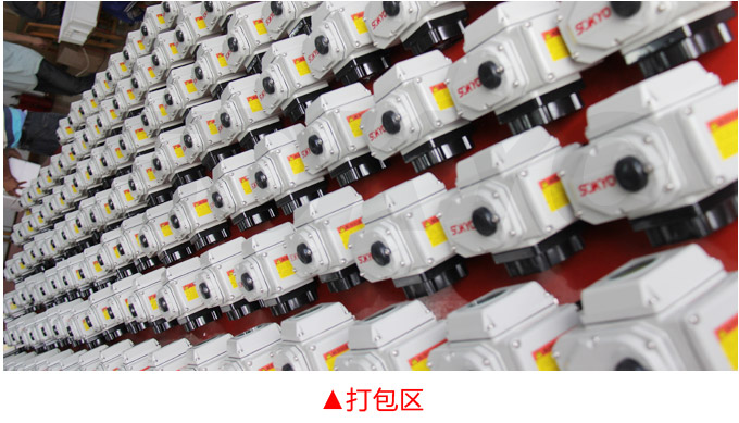 電動(dòng)執(zhí)行機(jī)構(gòu),YTDG-RKB50電動(dòng)執(zhí)行器,電動(dòng)頭物流包裝打包區(qū)