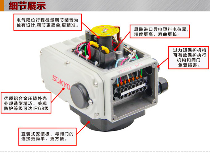 電動執(zhí)行器,電動頭,YTDG-RS2500電動執(zhí)行機構細節(jié)圖1