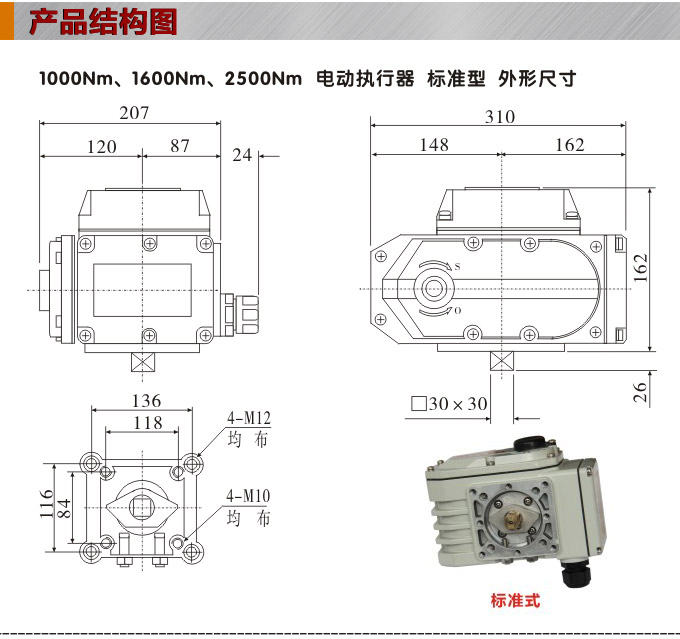 電動執(zhí)行器,電動頭,YTDG-RS2500電動執(zhí)行機構結構圖,標準式