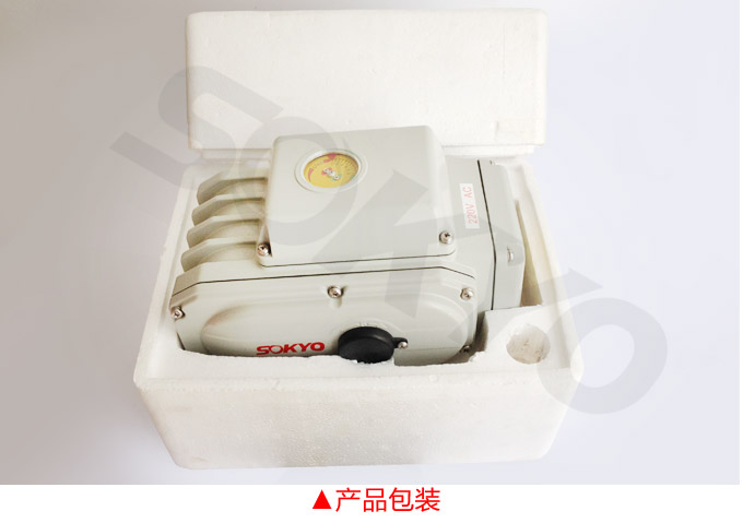 電動執(zhí)行機(jī)構(gòu),YTDG-RKB1000電動執(zhí)行器,電動頭產(chǎn)品包裝2