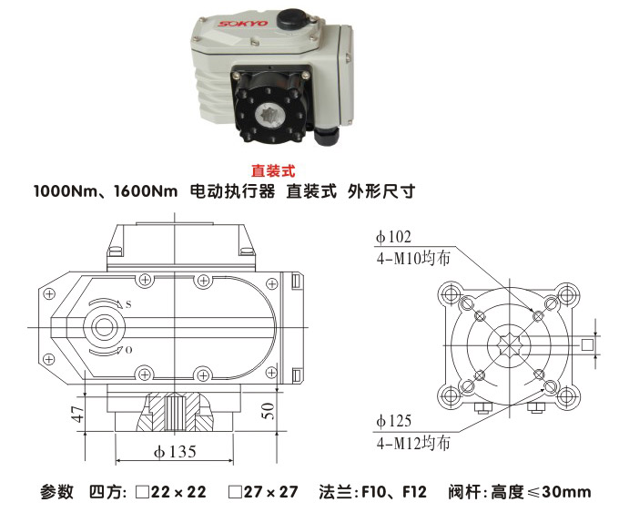 電動(dòng)執(zhí)行器,電動(dòng)頭,YTDG-RS1000電動(dòng)執(zhí)行機(jī)構(gòu)結(jié)構(gòu)圖,直裝式