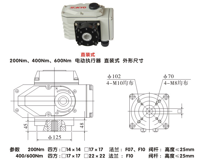 電動(dòng)執(zhí)行器,電動(dòng)頭,YTDG-RS600電動(dòng)執(zhí)行機(jī)構(gòu)結(jié)構(gòu)圖,直裝式