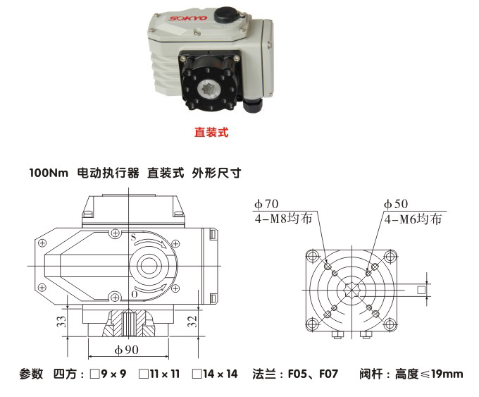 電動執(zhí)行器,電動頭,YTDG-RS100電動執(zhí)行機構(gòu)結(jié)構(gòu)圖,直裝式