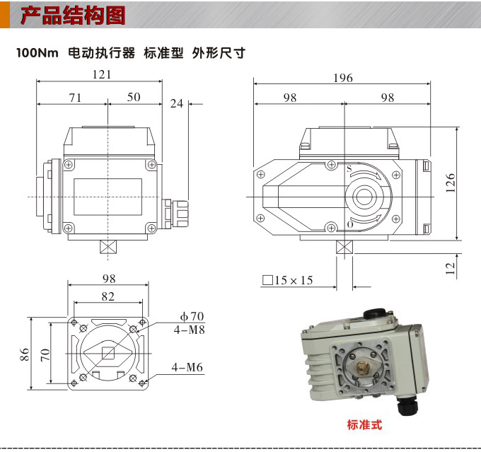  電動執(zhí)行器,電動頭,YTDG-RS100電動執(zhí)行機構(gòu)結(jié)構(gòu)圖,標(biāo)準(zhǔn)式