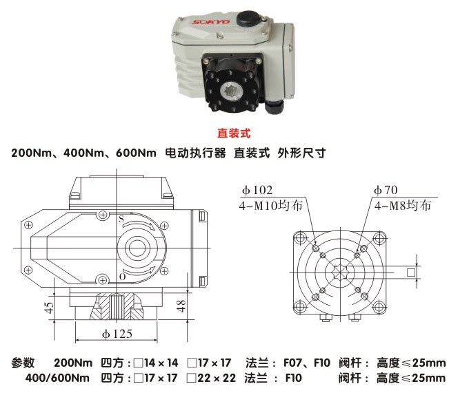 電動(dòng)執(zhí)行機(jī)構(gòu),YTDG-RKB400電動(dòng)執(zhí)行器,電動(dòng)頭結(jié)構(gòu)圖,直裝式