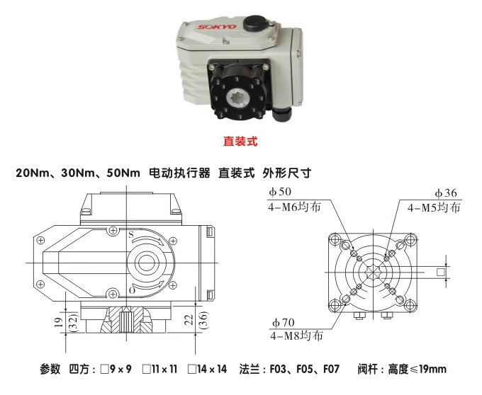 電動(dòng)執(zhí)行機(jī)構(gòu),YTDG-RKB50電動(dòng)執(zhí)行器,電動(dòng)頭結(jié)構(gòu)圖,直裝式