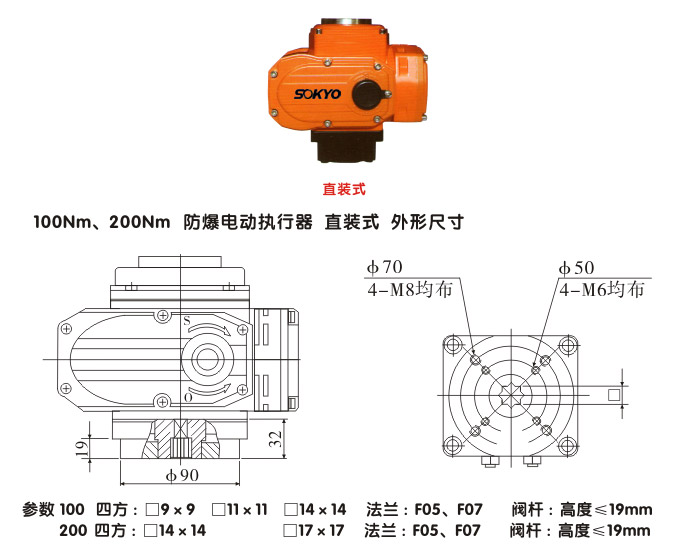 防爆電動(dòng)頭,YTEx-RS100防爆電動(dòng)執(zhí)行器結(jié)構(gòu)圖,直裝式