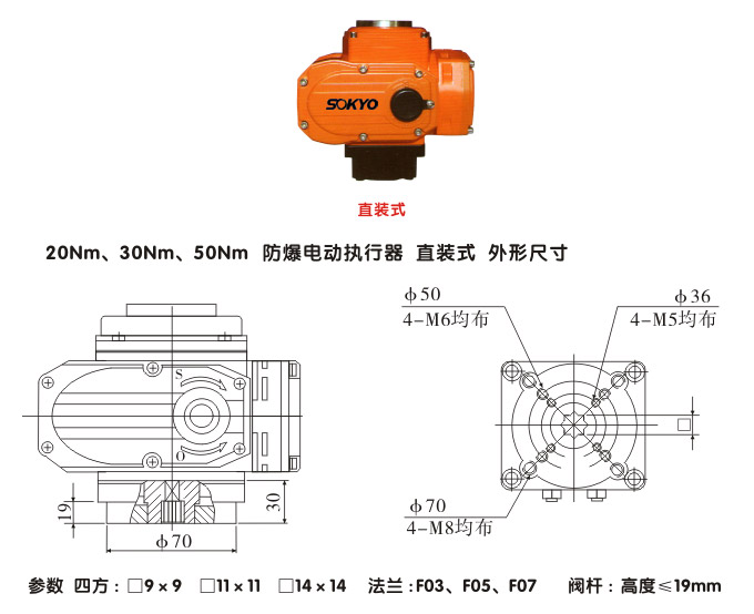 防爆電動(dòng)頭,YTEx-RS50防爆電動(dòng)執(zhí)行器結(jié)構(gòu)圖,直裝式