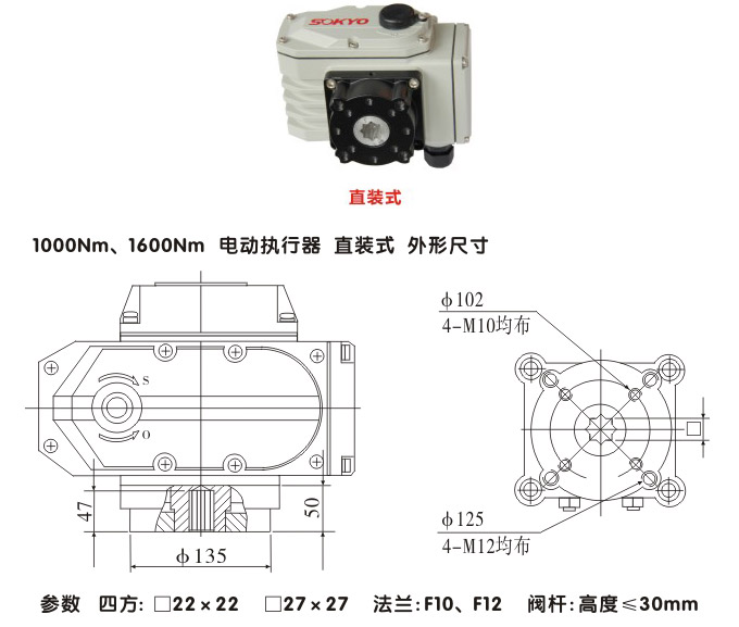 智能電動執(zhí)行器,YTDZ-RS1600智能電動執(zhí)行機構(gòu)結(jié)構(gòu)圖,直裝式