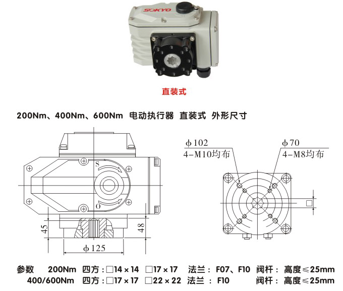 智能電動(dòng)執(zhí)行器,YTDZ-RS600智能電動(dòng)執(zhí)行機(jī)構(gòu)結(jié)構(gòu)圖,直裝式